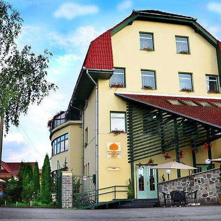 Hotel Restaurant Park Миеркуря Чук Екстериор снимка