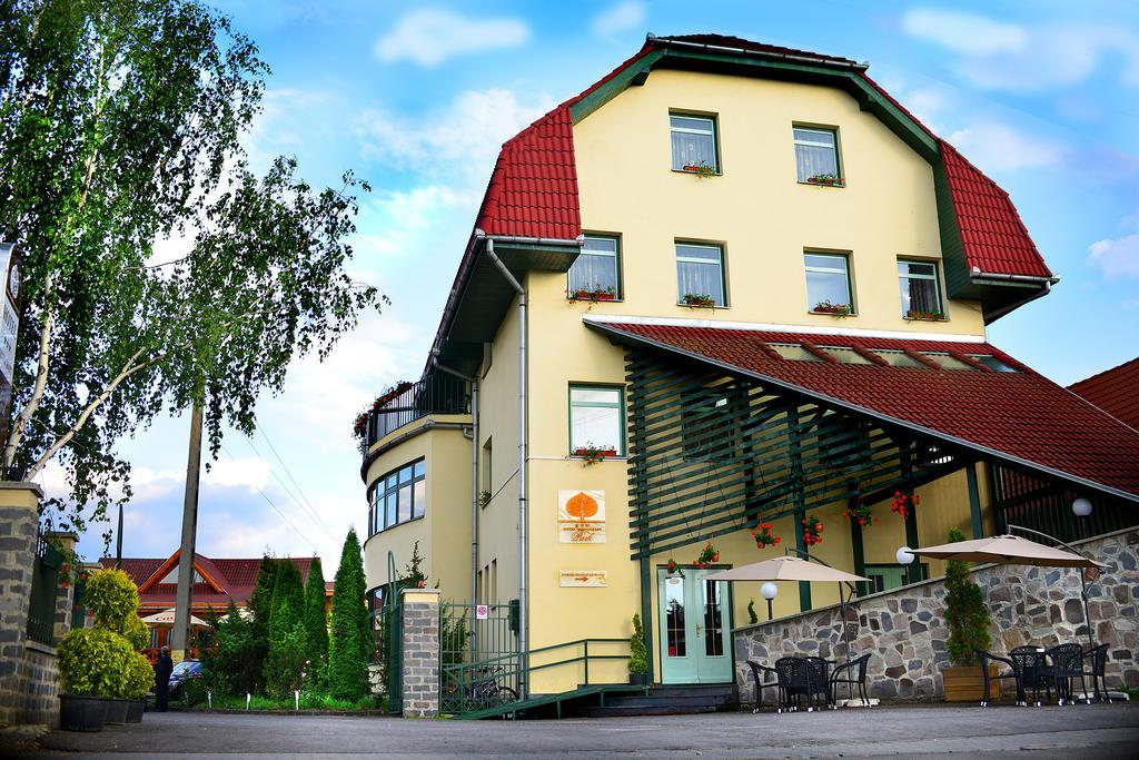 Hotel Restaurant Park Миеркуря Чук Екстериор снимка